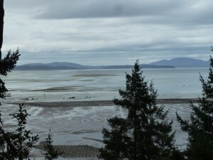 OysterBeds-1024x768