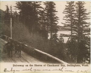 Two horse carriage on Chuckanut Drive.
