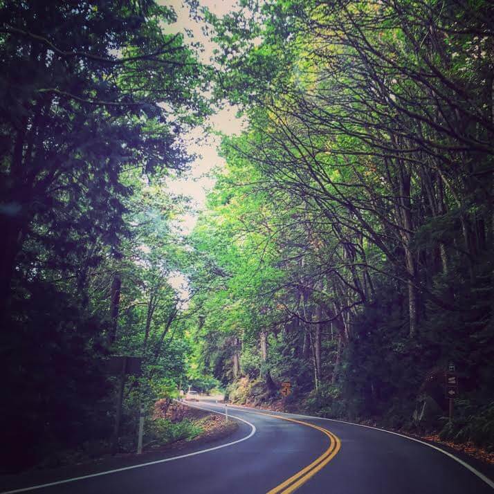 Driving down Chuckanut