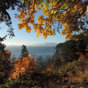 Chuckanut Drive Fall Bay View