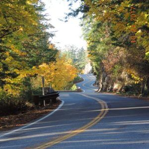 Chuckanut Drive Fall Road