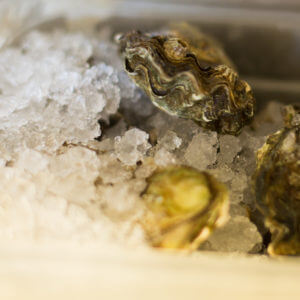 Raw Oysters