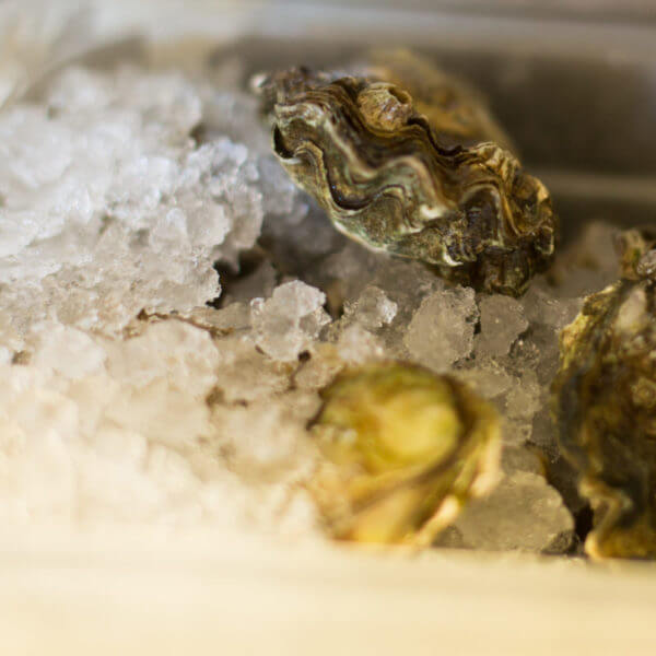 Raw Oysters