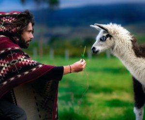 5 animal activities in the Skagit County