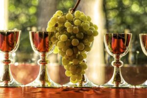 wines on the oyster bar wine list