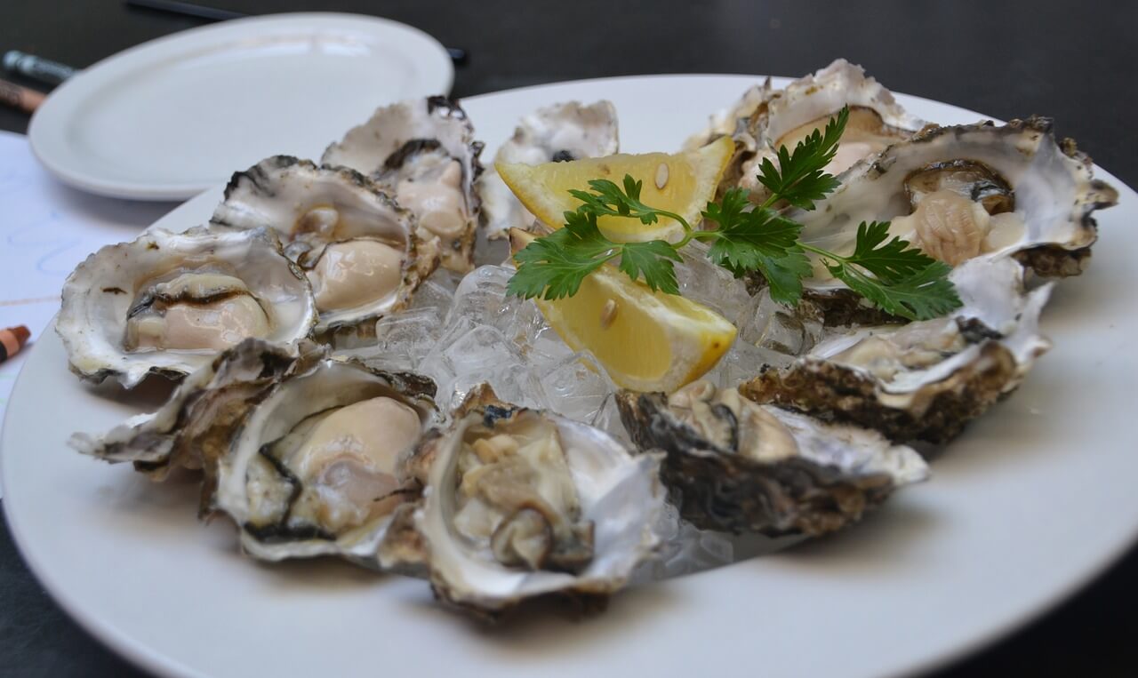 https://cdn.pixabay.com/photo/2018/08/23/07/30/oysters-3625395_1280.jpg